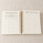 The Spiritual Battle Plan spread, for replacing lies with God's truth
