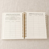The Spiritual Battle Plan spread, for replacing lies with God's truth